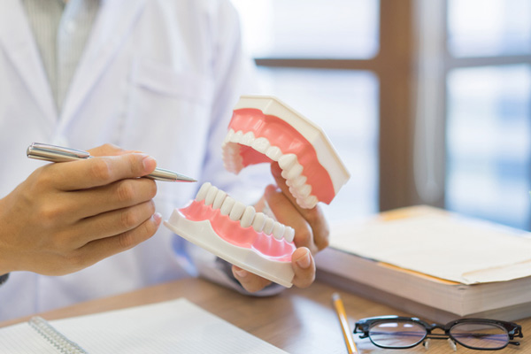 Dentist holding model of teeth and gums, at Fusion Dental Specialists in Happy Valley, OR.